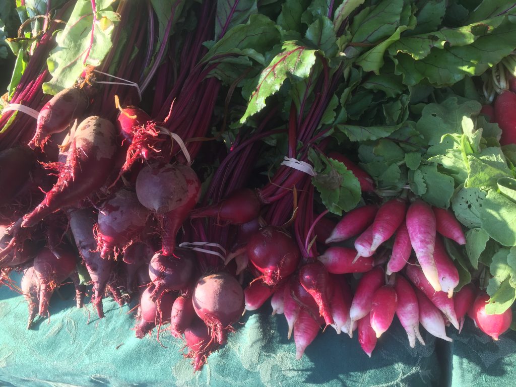 Thunder Bay Country Market