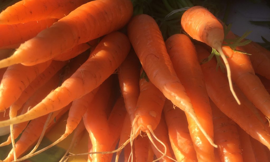 Thunder Bay Country Market