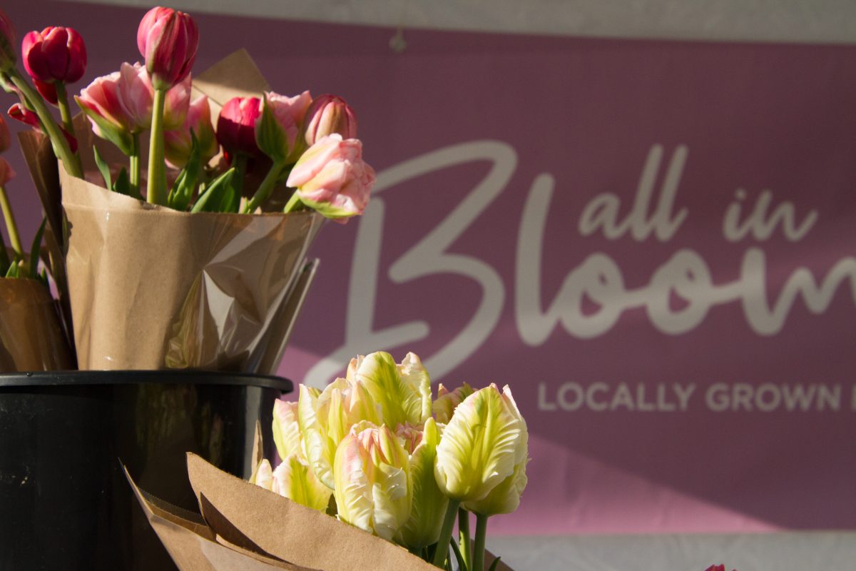 Thunder Bay Country Market